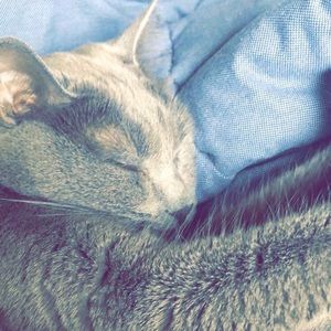 Meet your Posher, Lindsay